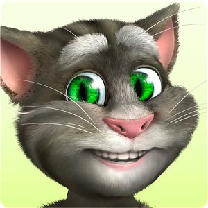 Talking Tom Cat 2