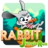 Rabbit Jungle Run